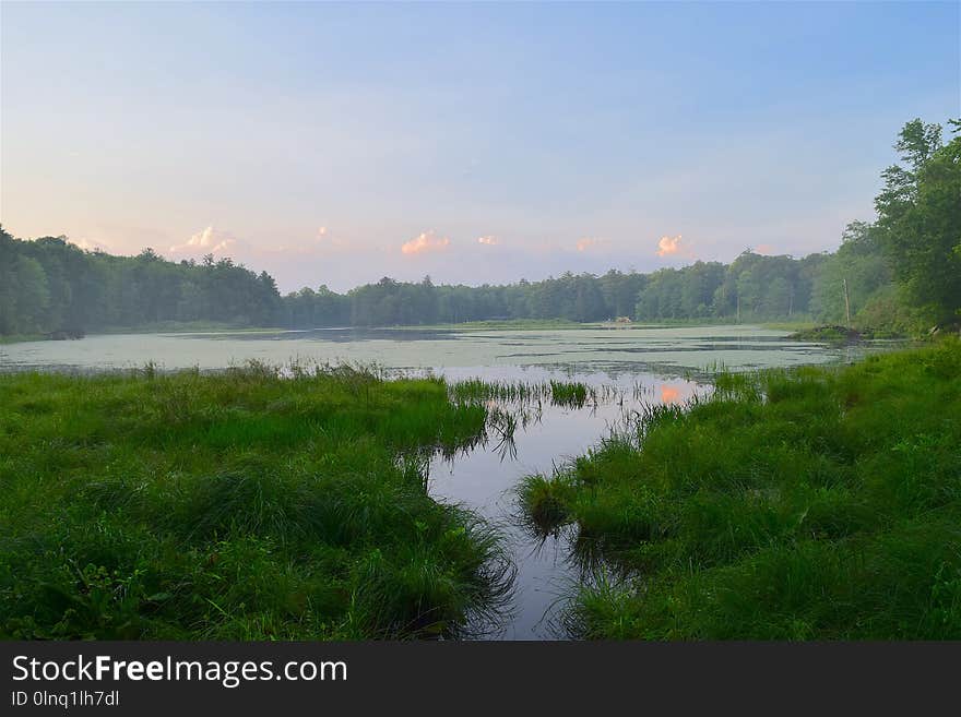 Reflection, Nature, Water, River