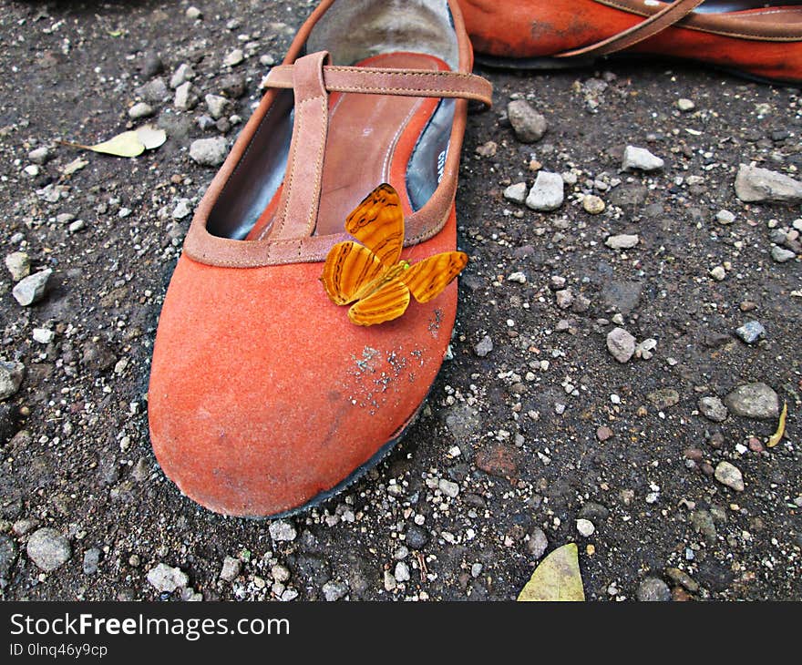 Footwear, Shoe, Orange, Outdoor Shoe