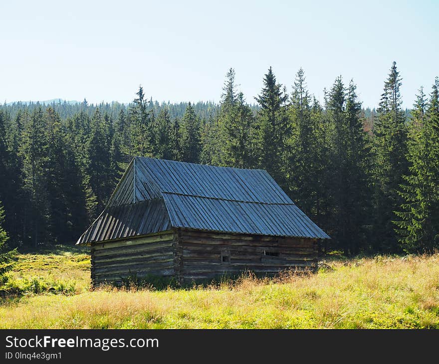 Ecosystem, Wilderness, Grassland, Hut