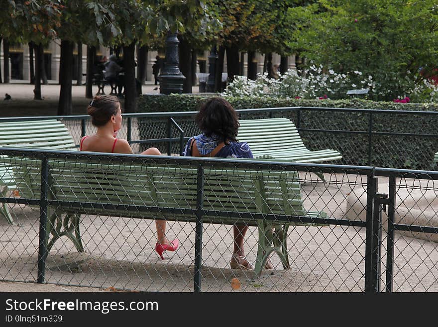 Furniture, Tree, Bench, Recreation