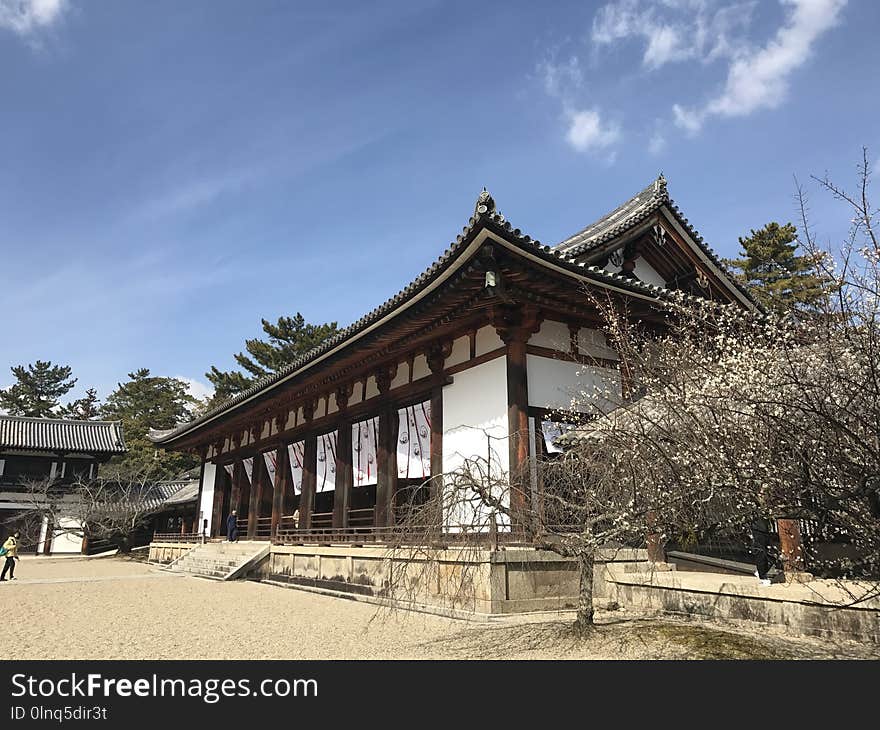 Chinese Architecture, Japanese Architecture, Historic Site, Sky