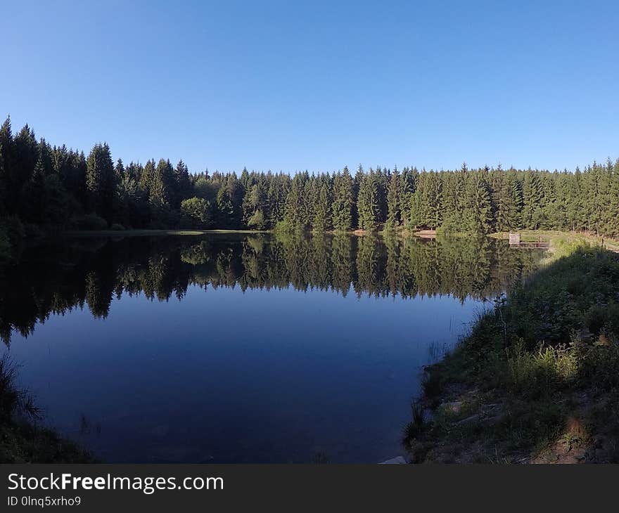 Reflection, Lake, Nature, Wilderness