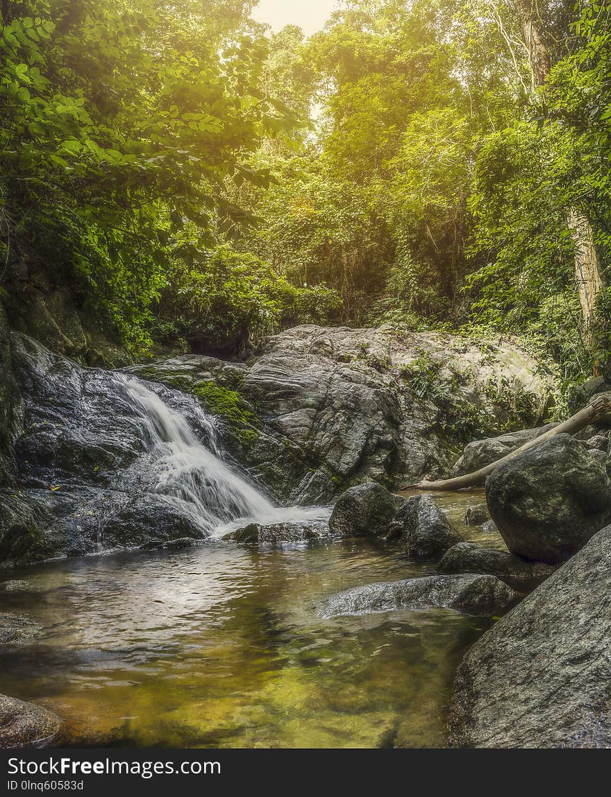 Water, Nature, Stream, Nature Reserve