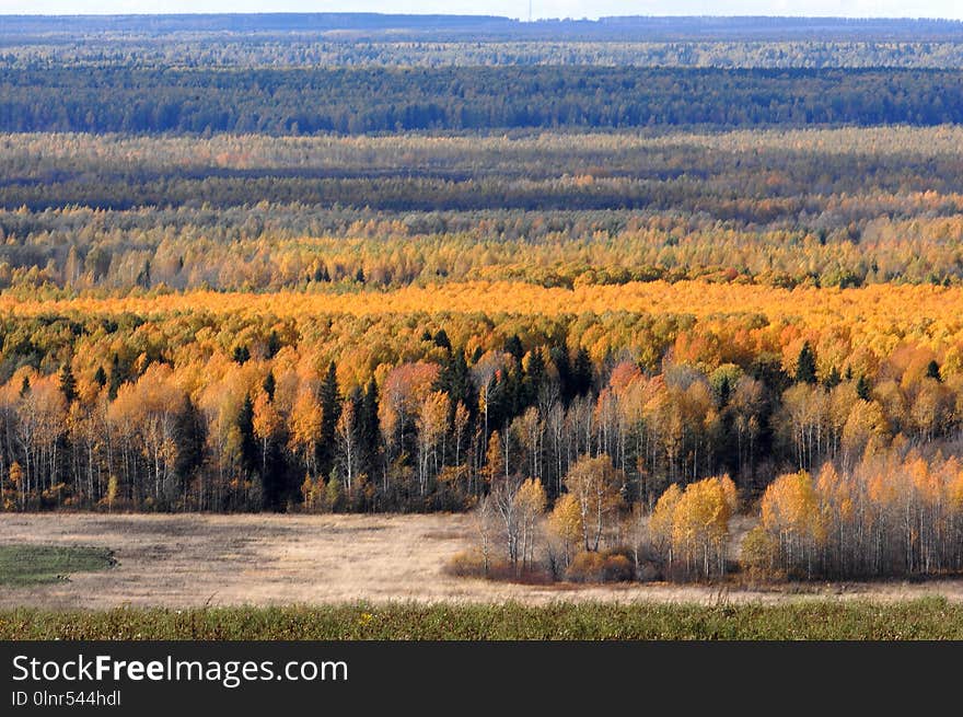 Colorful foliage in the autumn park. Collection of Beautiful Colorful Autumn Leaves / green, yellow, orange, red. Colorful foliage in the autumn park