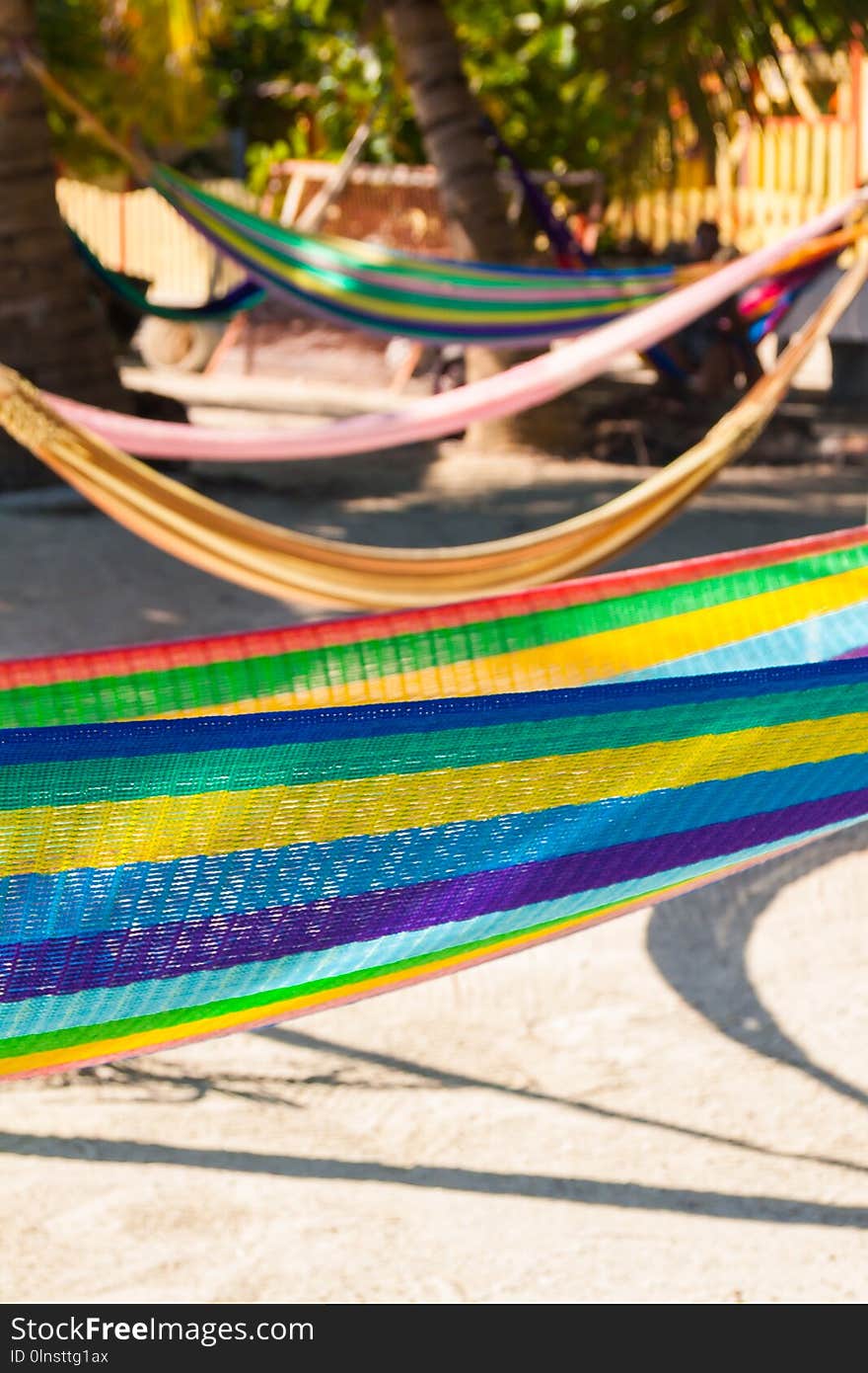 Multi Coloured Hammocks Hanging on Tropical Palm Trees over Sandy Beach