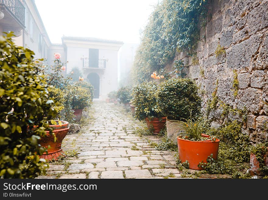 San Marino cityscape on a misty day. Historic street of San-Marino in fog. Italy.