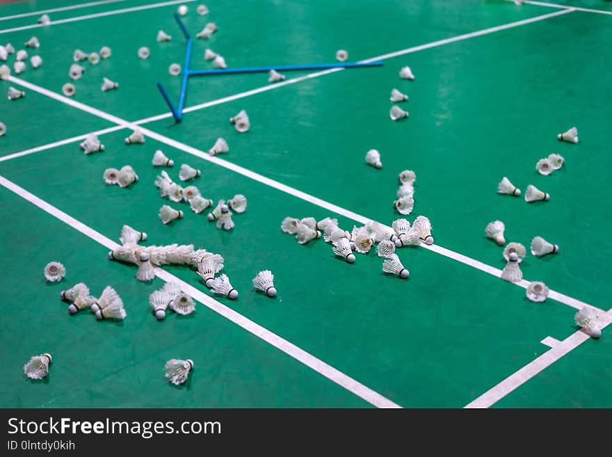 badminton shuttlecock with white line on green court.