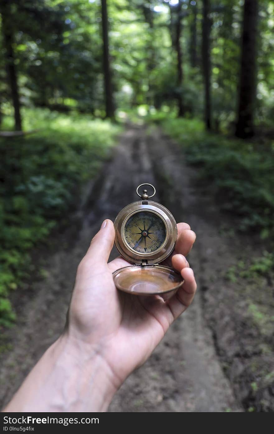 Man with compass in hand in lush summer forest. Travel concept