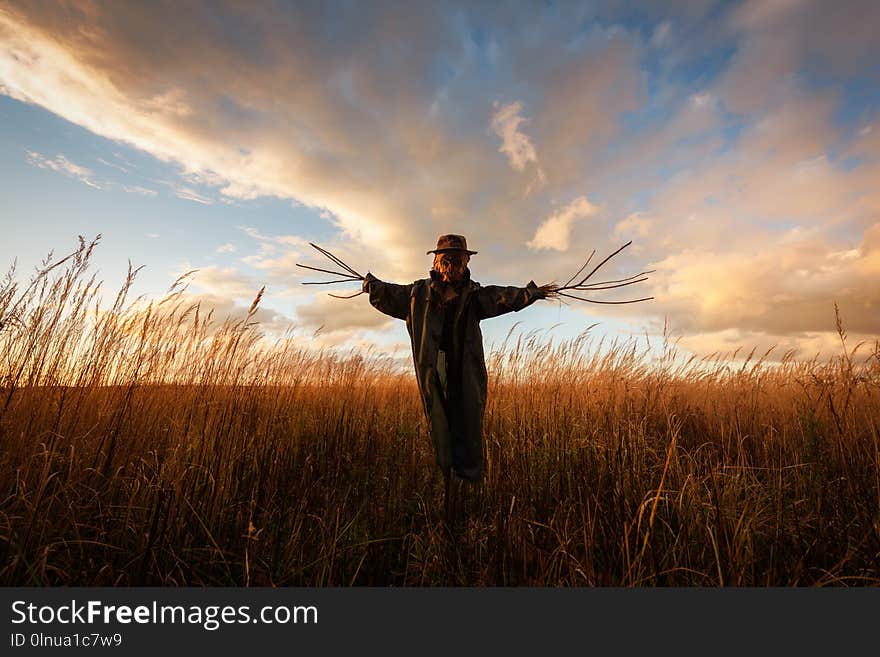 Scary scarecrow in a hat on a cornfield in orange sunset background. Halloween holiday concept