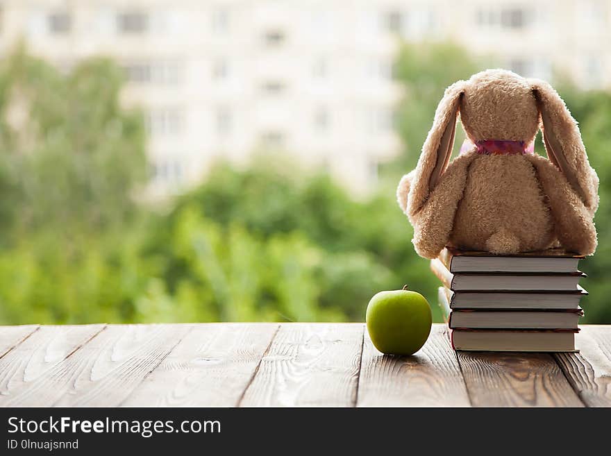 Toy Bunny sitting back, lie next to a stack of books and a green Apple. Concept in anticipation of the new school year.