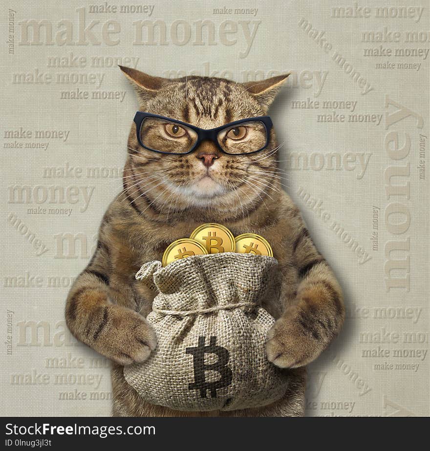 Cat with a sack of bitcoins 2