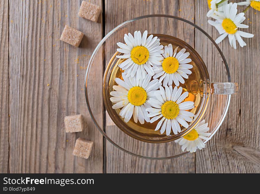 Camomile, daisy tea