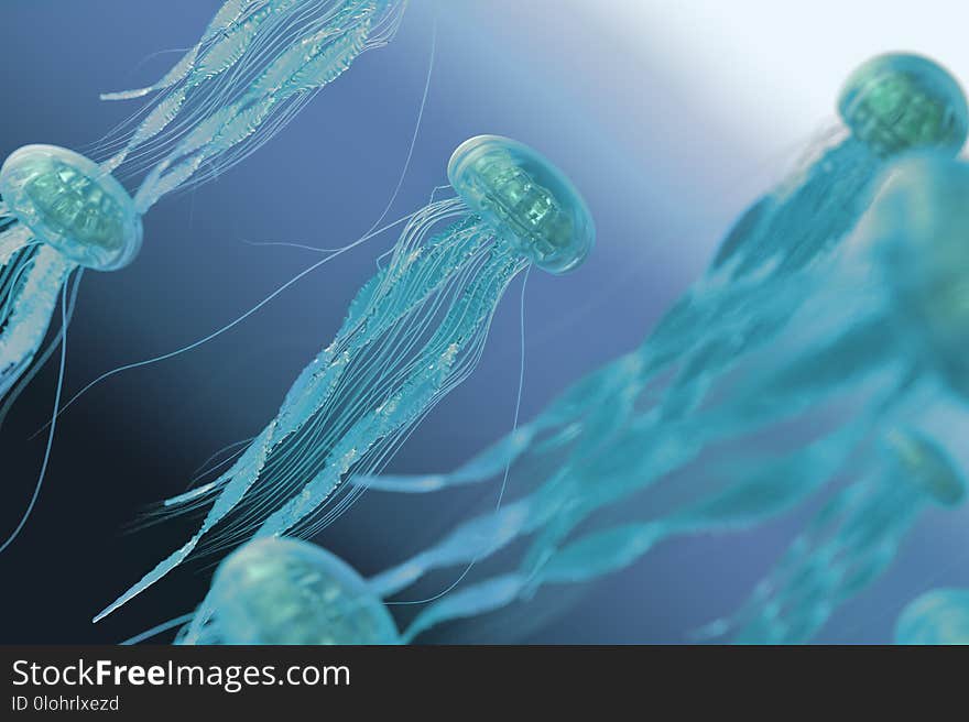 3d rendering, The jellyfish in blue ocean background