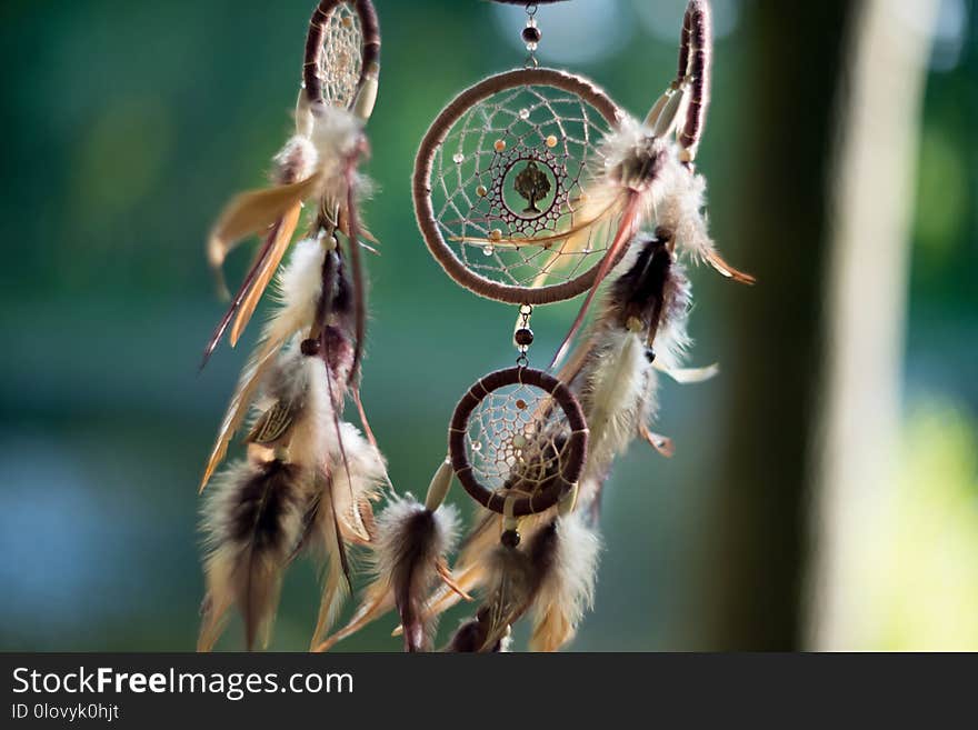 Dreamcatcher, American Native Amulet In Forest. Shaman