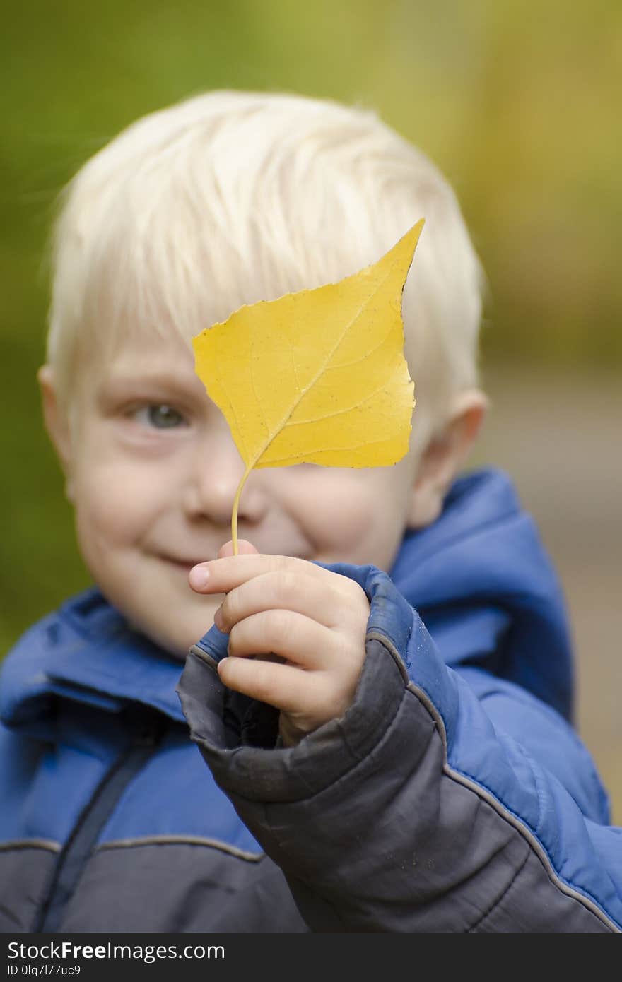 Blond boy holds a yellow leaf in front of him. Portrait.