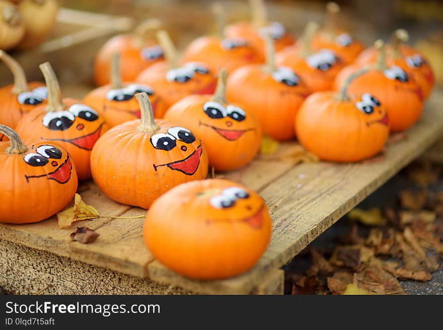 Decorative orange pumpkins on display at the farmers market in Germany. Orange ornamental pumpkins in sunlight. Harvesting and Thanksgiving concept.