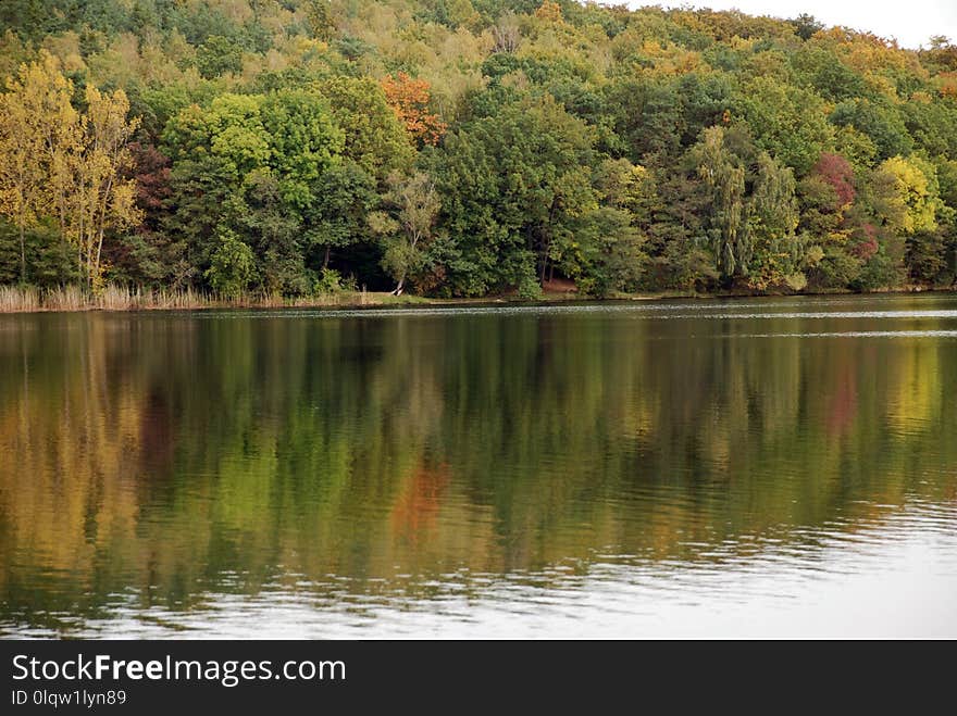 Reflection, Water, Nature, Lake