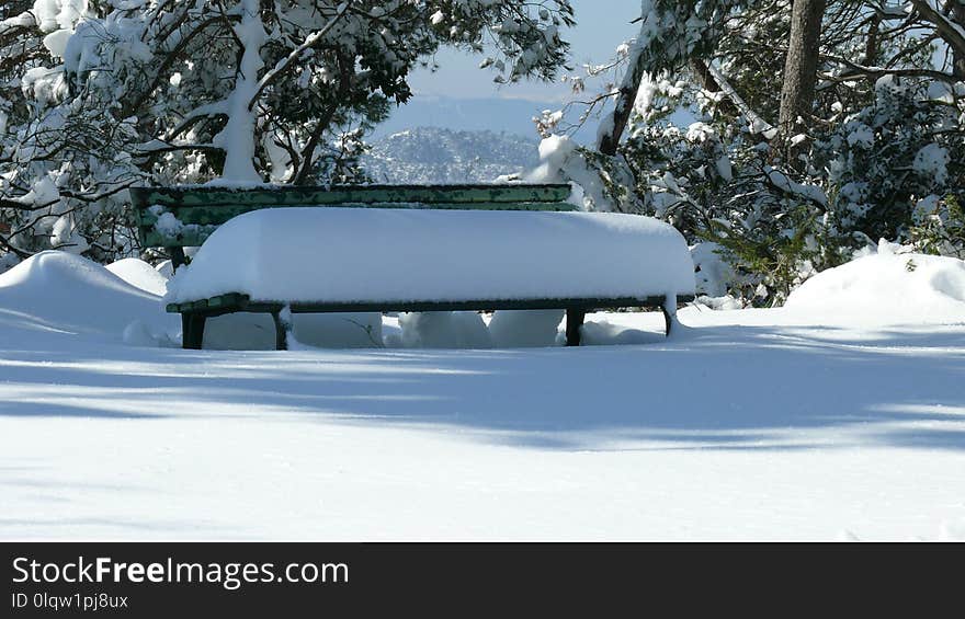 Snow, Winter, Freezing, Tree