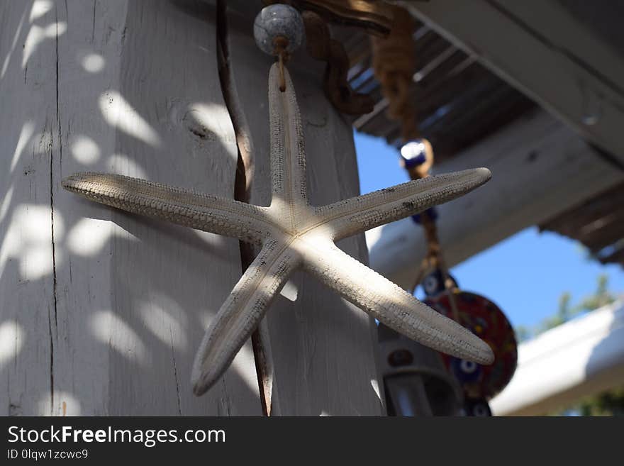 Wood, Metal, Wheel