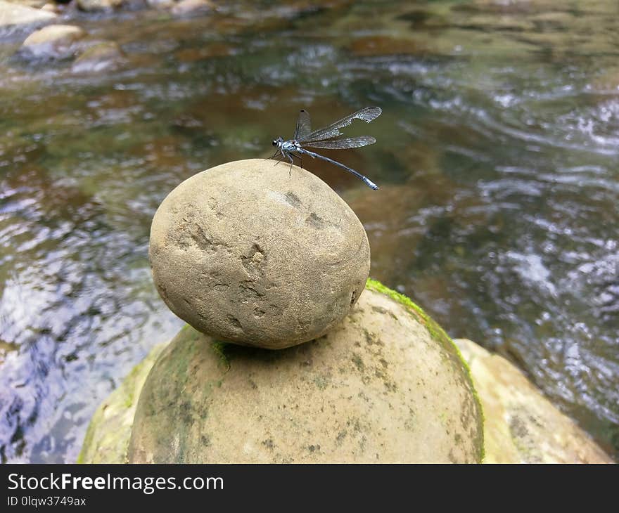 Water, Rock, Water Resources, River