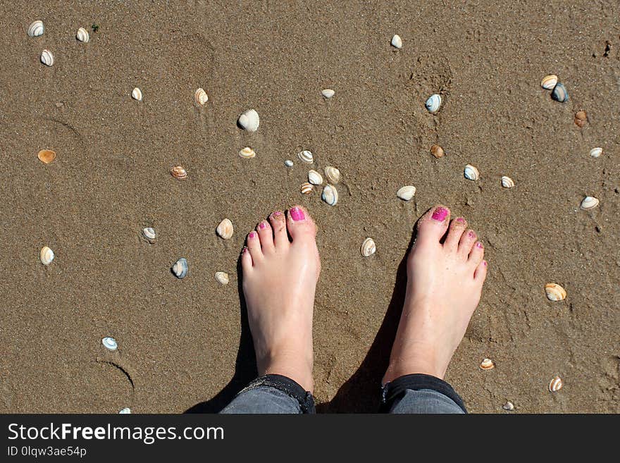 Foot, Toe, Leg, Sand