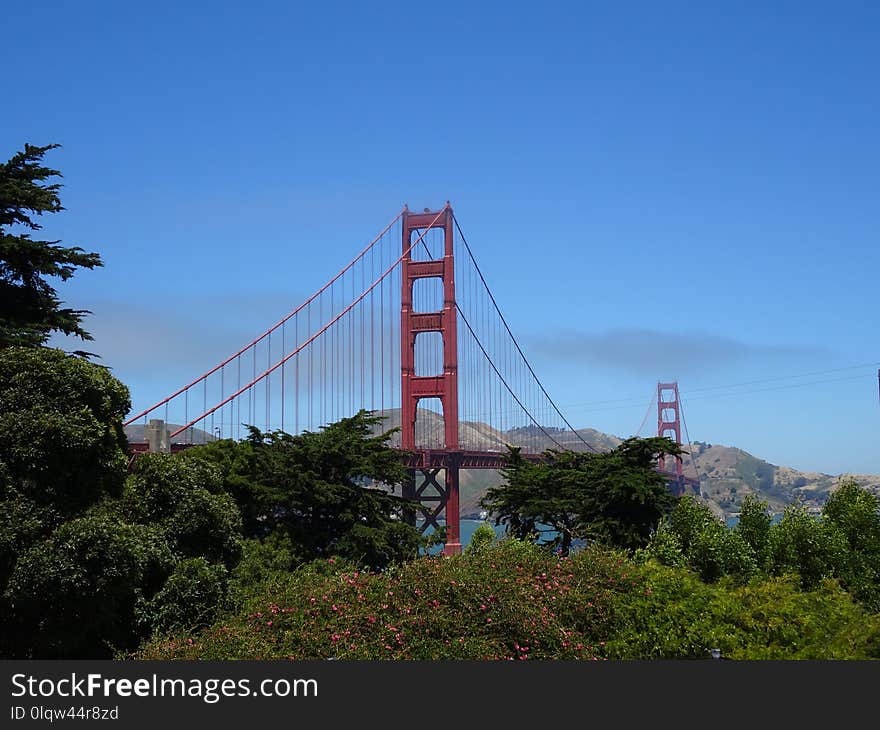 Bridge, Landmark, Sky, Tree