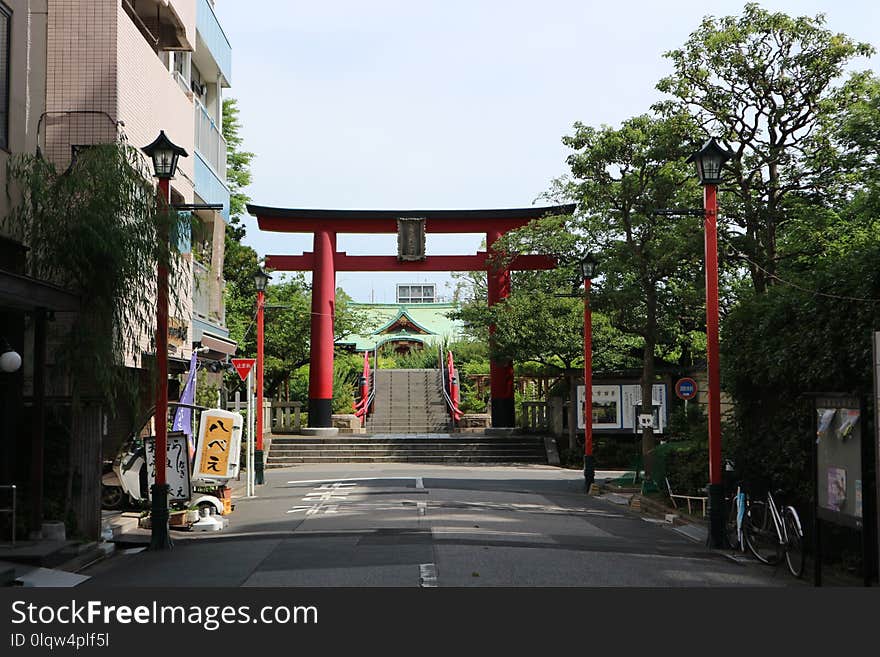 Town, Neighbourhood, Tree, Road