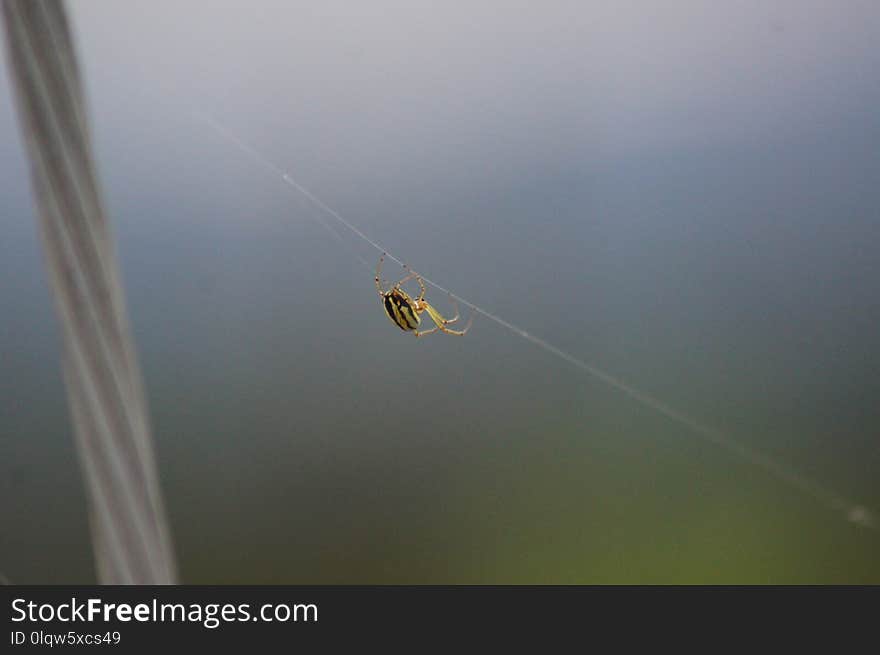 Water, Atmosphere, Macro Photography, Moisture