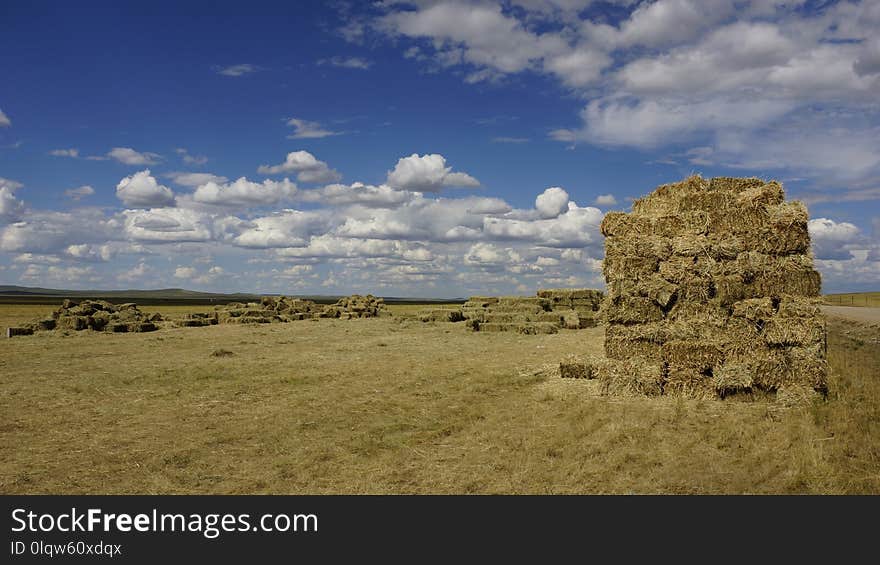 Grassland, Ecosystem, Sky, Hay