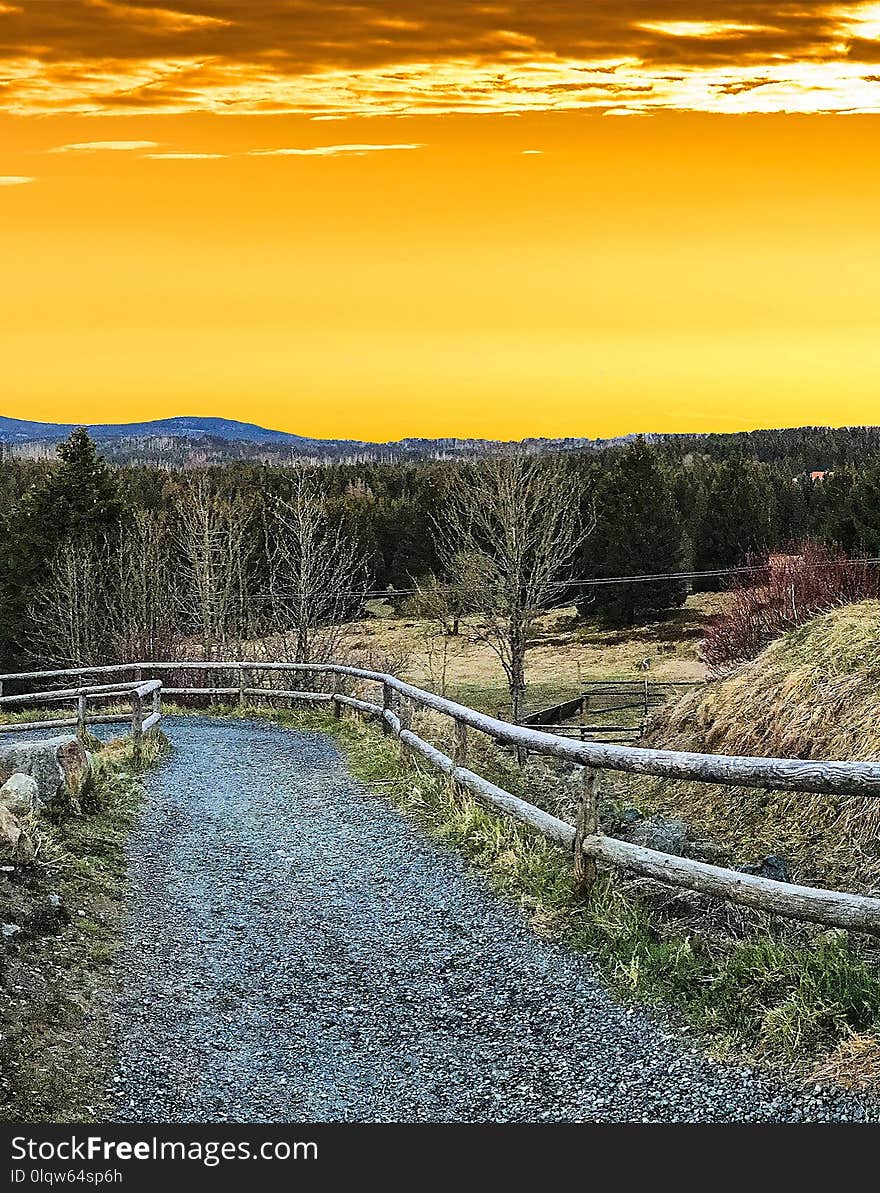 Sky, Nature, Yellow, Road