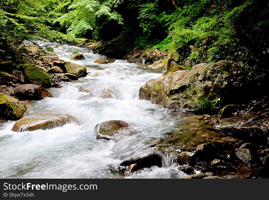 Stream, Water, Nature, Watercourse