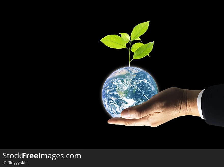 Hand hold earth with strong growth freshness tree isolated on black background with clipping path. Earth image furnished by NASA. Hand hold earth with strong growth freshness tree isolated on black background with clipping path. Earth image furnished by NASA.