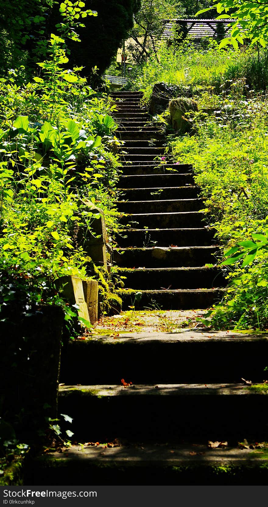 Steep natural stone staircase in the green, laborious climb to the garden shed, steep allotment with lots of sun, recreation in the garden, unkempt allotment,. Steep natural stone staircase in the green, laborious climb to the garden shed, steep allotment with lots of sun, recreation in the garden, unkempt allotment,