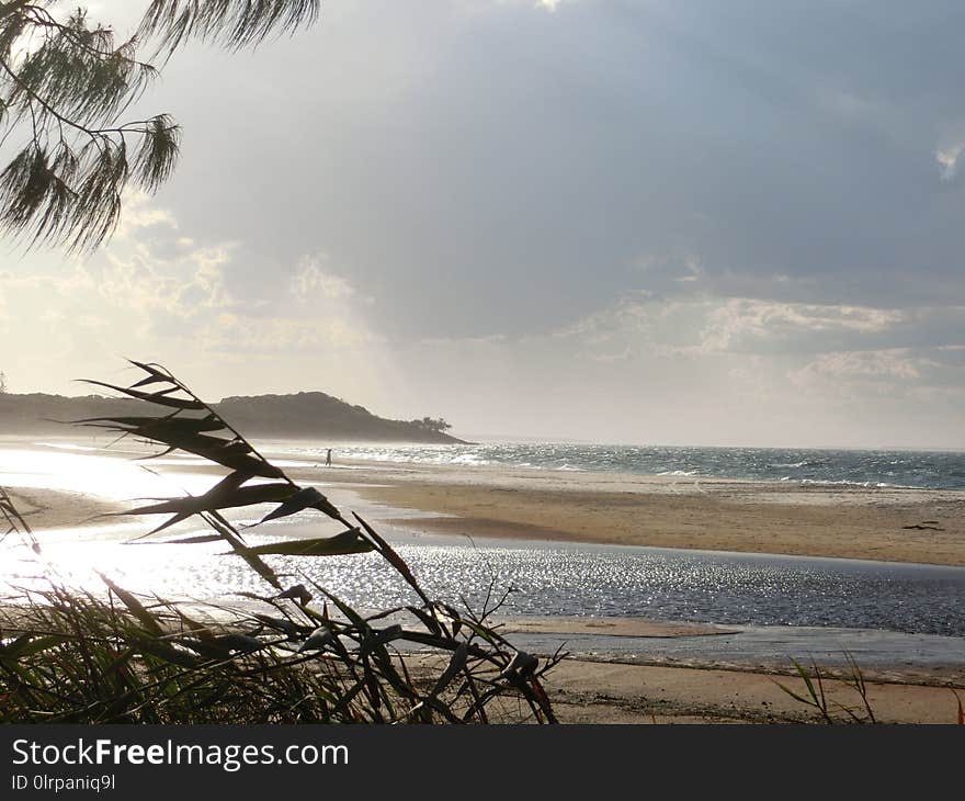 Sea, Beach, Sky, Body Of Water