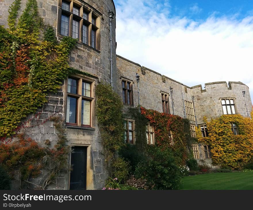 Property, Building, Medieval Architecture, House