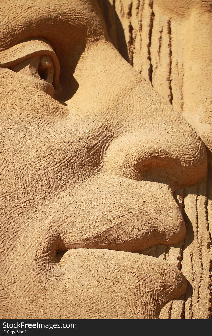 Stone Carving, Nose, Head, Carving