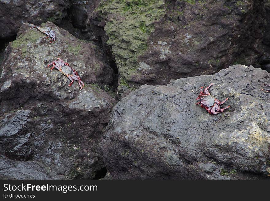 Rock, Geological Phenomenon, Bedrock, Outcrop