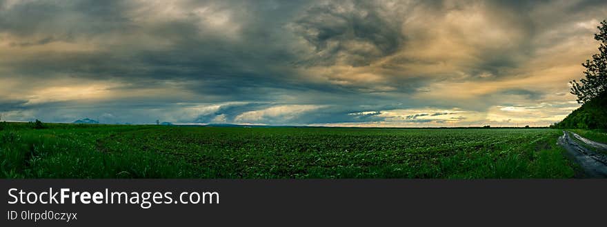 Sky, Nature, Field, Grassland