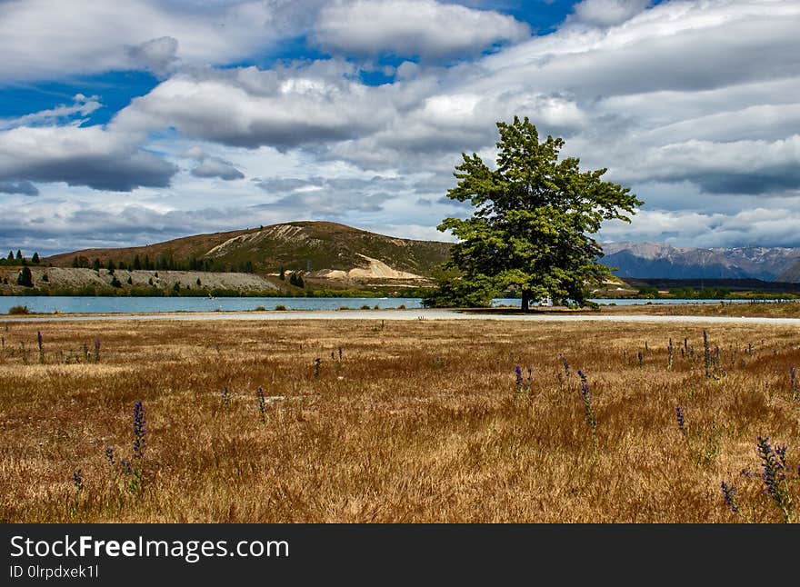 Cloud, Sky, Loch, Grassland