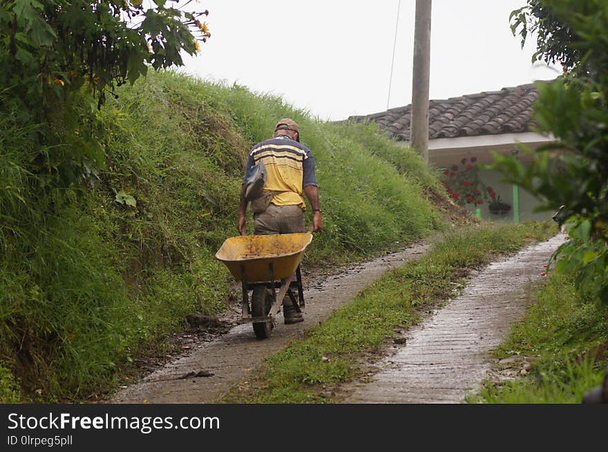 Path, Road, Yellow, Transport