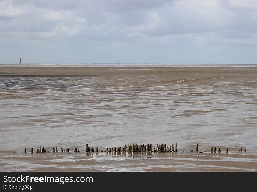 Mudflat, Wetland, Shore, Sky