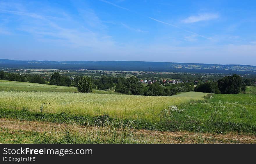 Grassland, Sky, Ecosystem, Field