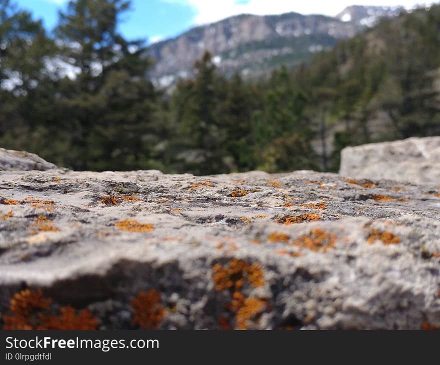 Rock, Geological Phenomenon, Tree, Mountain