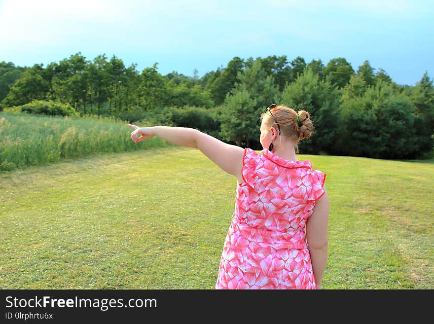 Grassland, Nature, Ecosystem, Grass