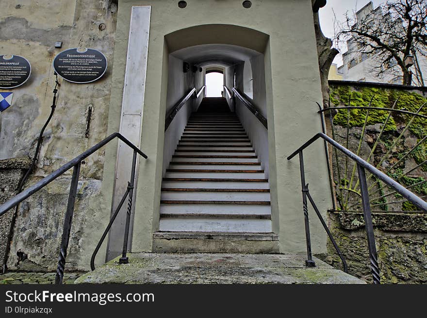 Building, Stairs, Tree, Arch