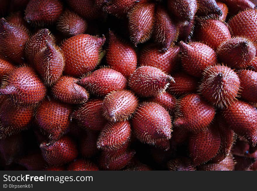 Zalacca Edulis Or Salacca Wallichiana Fruits