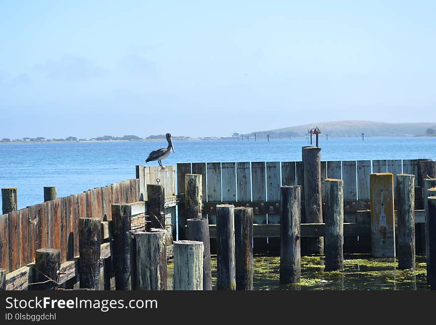 Sea, Body Of Water, Pier, Ocean