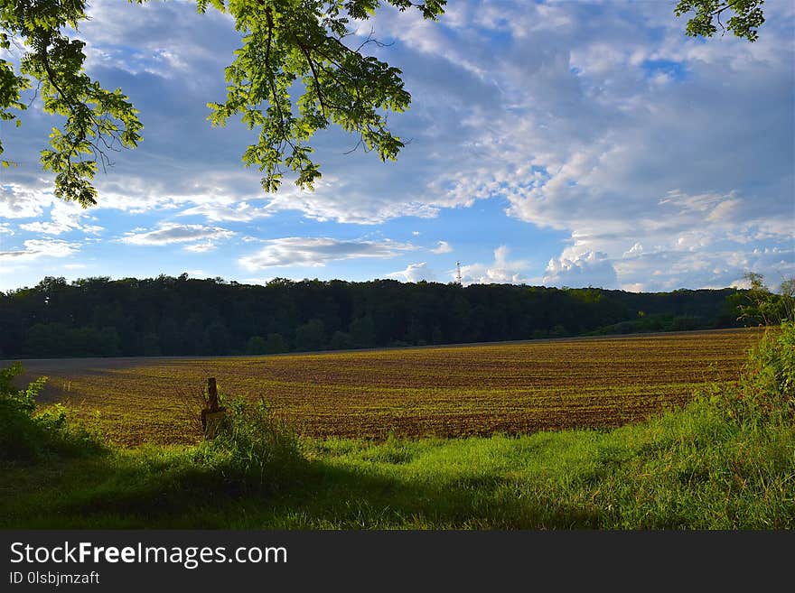 Sky, Grassland, Nature, Field