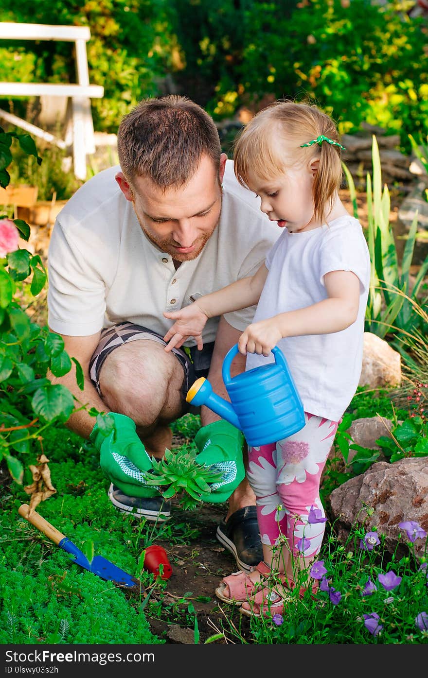 Family outdoor activity concept. Little girl with her father watering succulent planting in the garden. Family outdoor activity concept. Little girl with her father watering succulent planting in the garden.