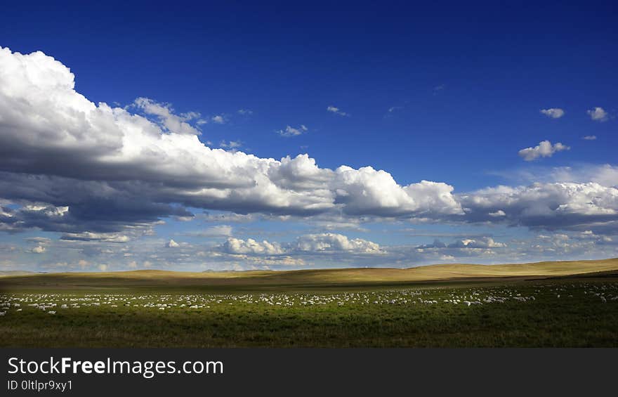 Sky, Grassland, Cloud, Ecosystem